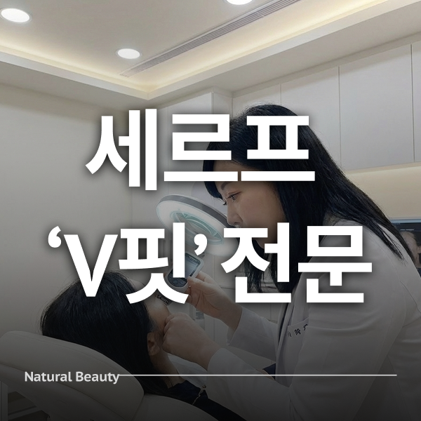 세르프 V핏 전문